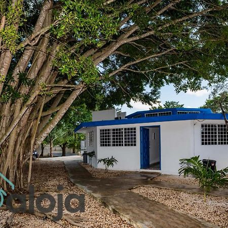 Villa Xtohil With Private Access To The Magic 7 Colors Lagoon Bacalar Dış mekan fotoğraf