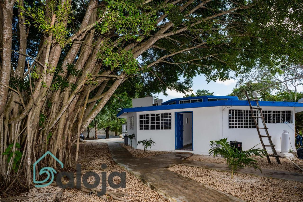 Villa Xtohil With Private Access To The Magic 7 Colors Lagoon Bacalar Dış mekan fotoğraf
